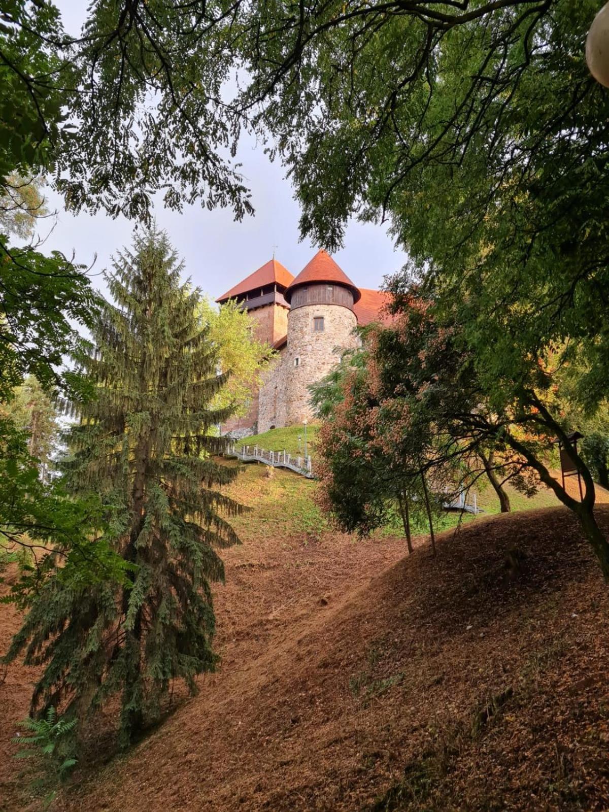 Old Town Road Apartment Karlovac Bagian luar foto